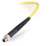 Intellical CDC401 4-polige Graphit-Leitfähigkeitssonde für den Außeneinsatz, 5 m Kabel